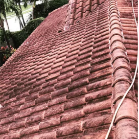 roof-cleaning-2 (1)