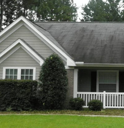 roof-cleaning-blog